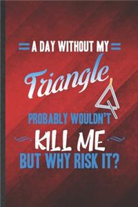A Day Without My Triangle Probably Wouldn't Kill Me but Why Risk It