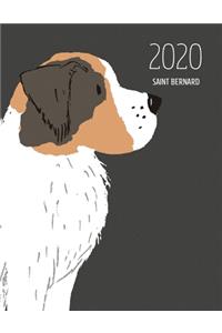 2020 Saint Bernard: Dated Weekly Planner With To Do Notes & Dog Quotes - Saint Bernard