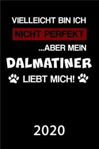 Dalmatiner 2020