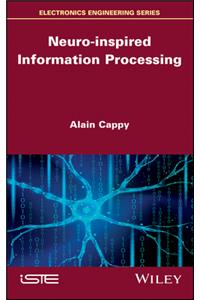 Neuro-Inspired Information Processing