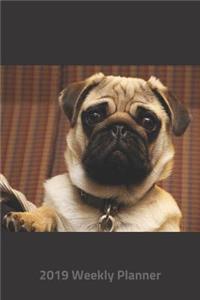 Plan on It 2019 Weekly Calendar Planner - Adorable Pug - Please Love Me