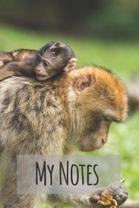 My Notes