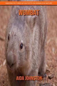 Wombat: Amazing Pictures & Fun Facts on Animals in Nature