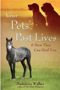 Your Pets' Past Lives: & How They Can Heal You