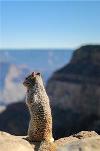 Squirrel Notebook