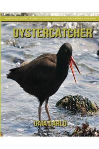 Oystercatcher