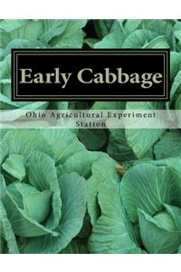 Early Cabbage