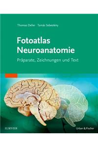 Fotoatlas Neuroanatomie