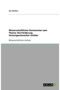 Wissenschaftlicher Kommentar zum Thema