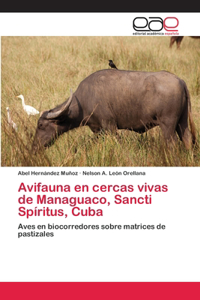 Avifauna en cercas vivas de Managuaco, Sancti Spíritus, Cuba