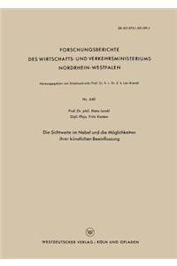 Sichtweite Im Nebel Und Die Möglichkeiten Ihrer Künstlichen Beeinflussung