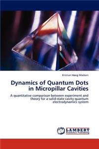 Dynamics of Quantum Dots in Micropillar Cavities