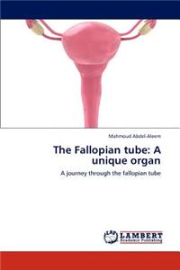 Fallopian Tube