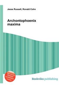 Archontophoenix Maxima