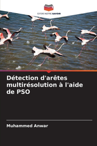 Détection d'arêtes multirésolution à l'aide de PSO