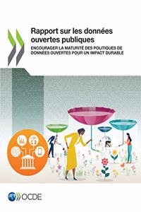 Rapport Sur Les Données Ouvertes Publiques Encourager La Maturité Des Politiques de Données Ouvertes Pour Un Impact Durable