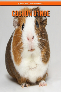 Cochon d'Inde (Découvrez Vos Animaux)