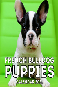 French Bulldog Puppies Calendar 2021