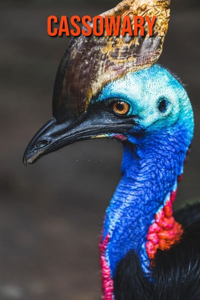 Cassowary