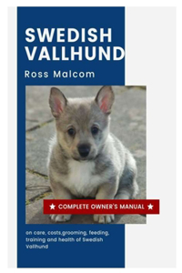 Swedish Vallhund