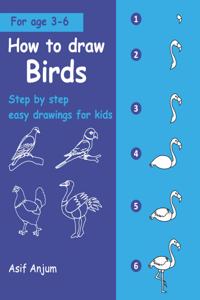 How to draw Birds