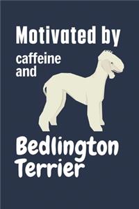 Motivated by caffeine and Bedlington Terrier
