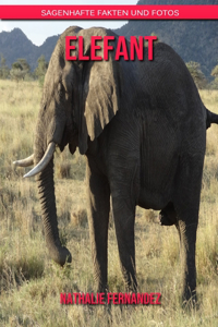 Elefant