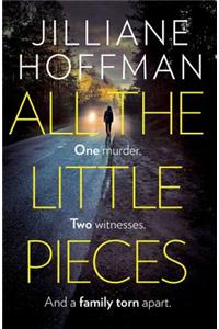 All the Little Pieces