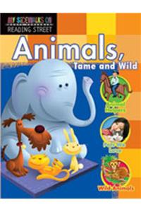 Reading 2011 Sidewalks Student Reader (Single Copy) Grade 1.4