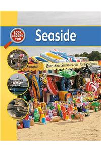 Look Around You: At The Seaside