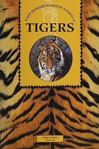 Tigers 6pk