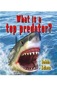 What Is a Top Predator?