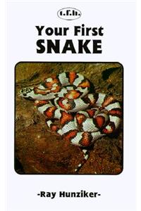 Your First Snake