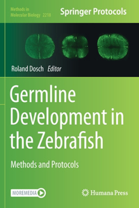 Germline Development in the Zebrafish