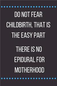 Do Not Fear Childbirth That Is the Easy Part There Is No Epidural for Motherhood