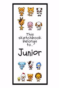 Junior Sketchbook