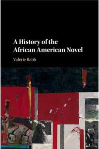 History of the African American Novel
