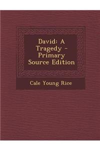 David: A Tragedy - Primary Source Edition
