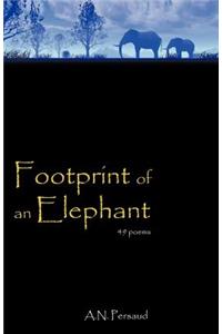 Footprint of an Elephant