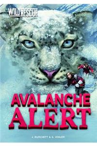 Avalanche Alert