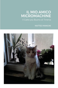 Mio Amico Micromachine