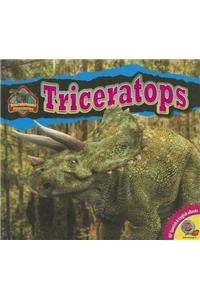 Triceratops