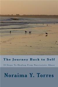 10 Steps to Healing after Narcissistic Abuse