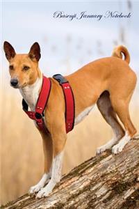 Basenji January Notebook Basenji Record, Log, Diary, Special Memories, To Do List, Academic Notepad, Scrapbook & More