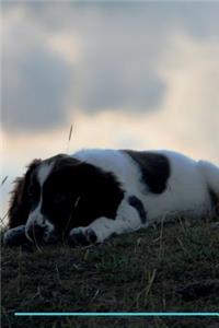 English Springer Spaniel Affirmations Workbook English Springer Spaniel Presents: Positive and Loving Affirmations Workbook. Includes: Mentoring Questions, Guidance, Supporting You.