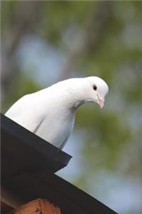 White Dove Journal