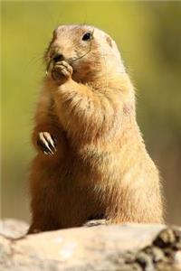 Curious Standing Prairie Dog Journal