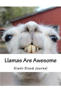 Llamas Are Awesome