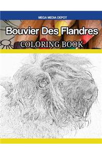 Bouvier Des Flandres Coloring Book