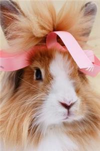 Fluffy Brown and White Bunny Rabbit with a Pink Bow Pet Journal